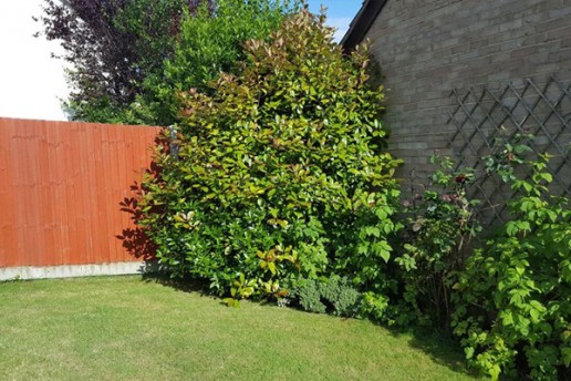 Composite deck porcelain slabs - Bishop's Stortford - 1