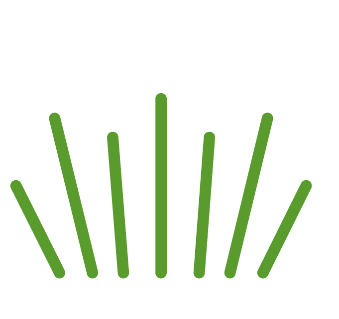 North Essex Landscaping__Services_Artificial grass & turfing